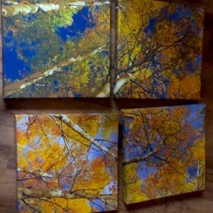 Tree wall decor